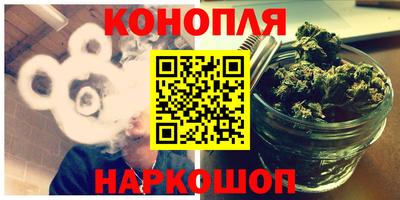 шишки Камень-на-Оби