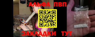 шишки Камень-на-Оби