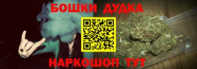 шишки Камень-на-Оби