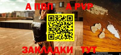 шишки Камень-на-Оби